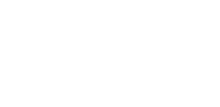 スケジュール